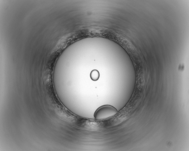 X0000093560706200710291019