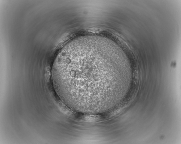 X0000093560707200710291019