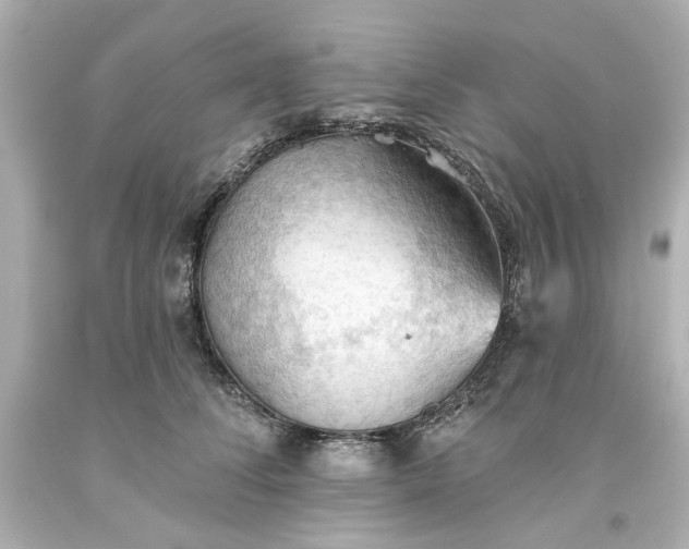 X0000093560708200710291019