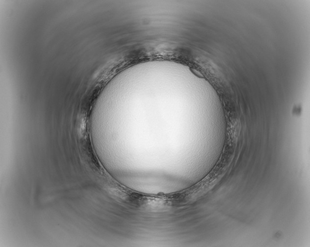 X0000093560709200710291019