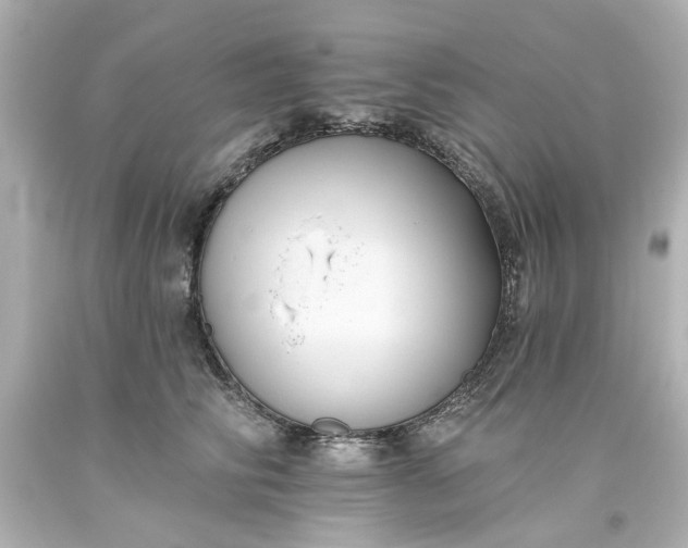 X0000093560710200710291019