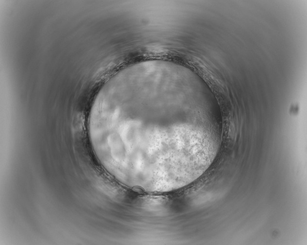 X0000093560711200710291019