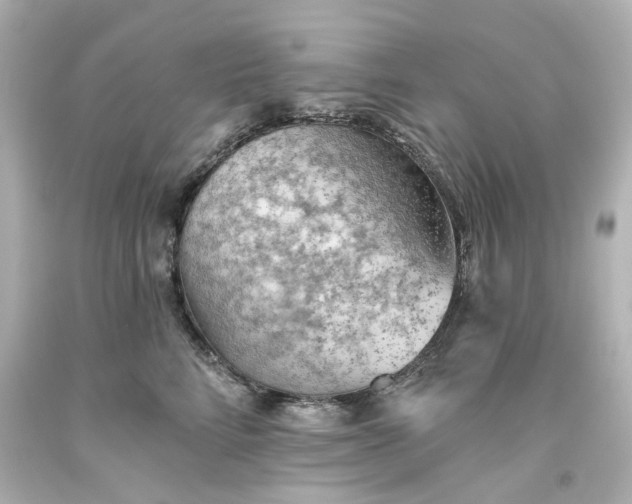 X0000093560712200710291019