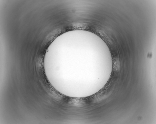 X0000093560713200710291019