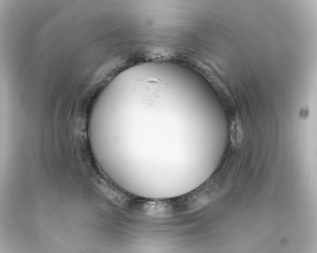 X0000093560714200710291019