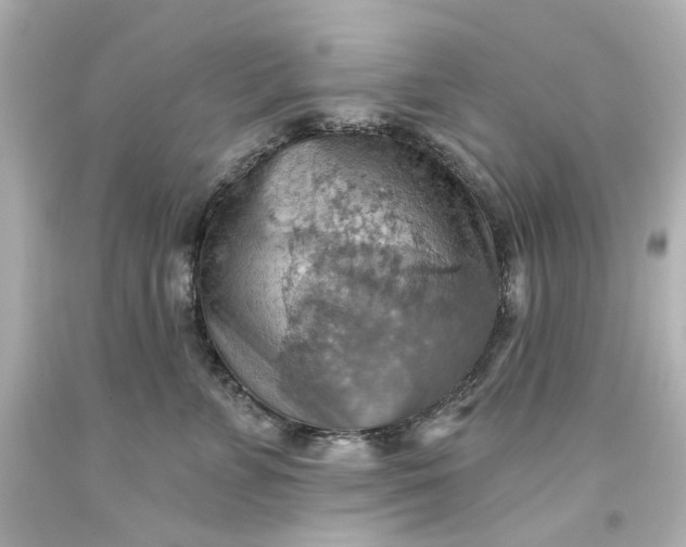 X0000093560715200710291019