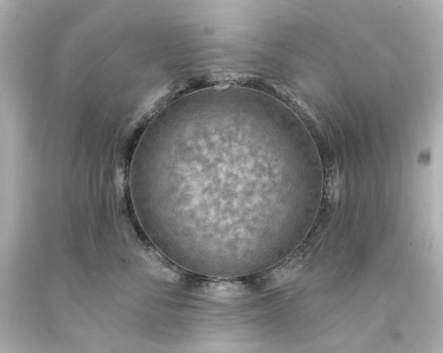 X0000093560716200710291019