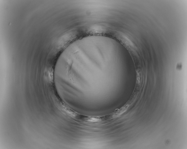 X0000093560718200710291019