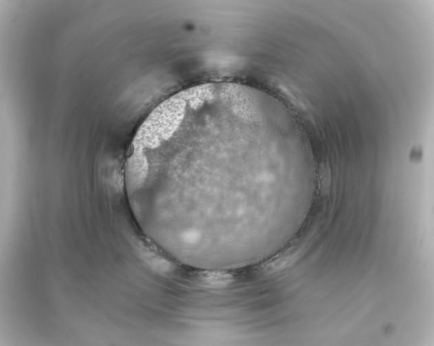 X0000093560719200710291019