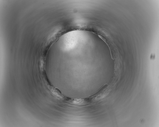 X0000093560720200710291019