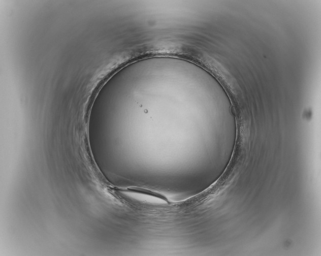 X0000093560721200710291018