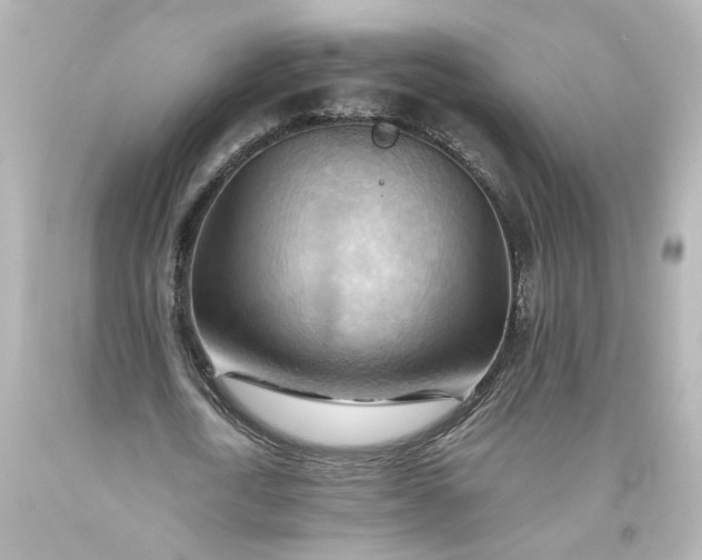 X0000093560722200710291018