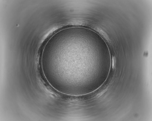 X0000093560723200710291018