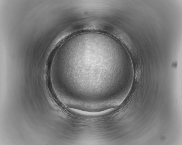 X0000093560724200710291018