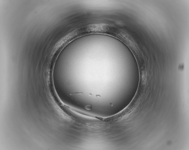 X0000093560725200710291018