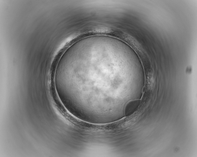 X0000093560726200710291018