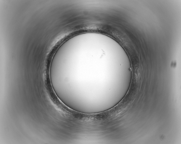 X0000093560728200710291018