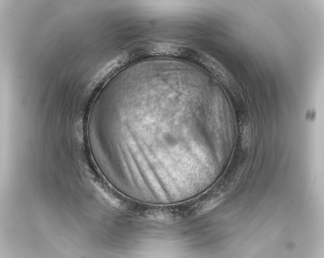 X0000093560729200710291018