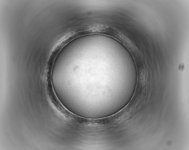 X0000093560730200710291018