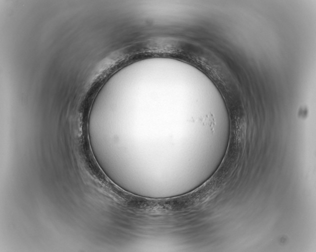 X0000093560731200710291018