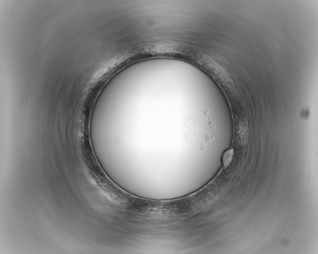 X0000093560732200710291018