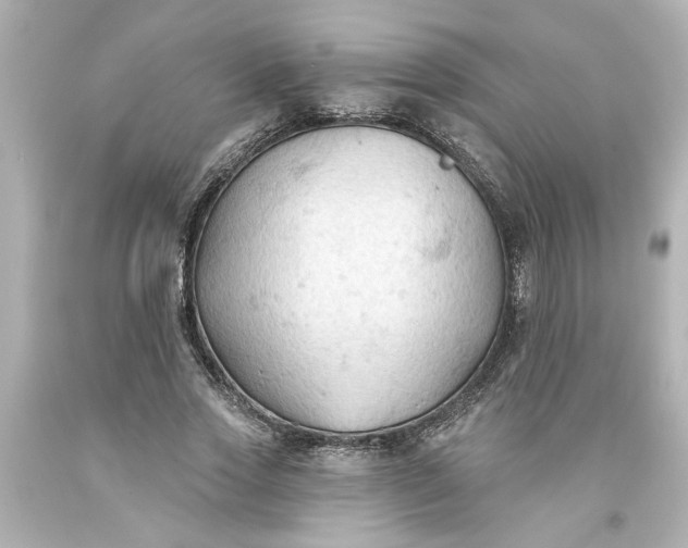 X0000093560733200710291018