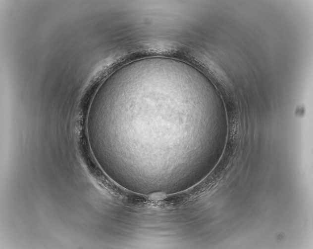 X0000093560736200710291018