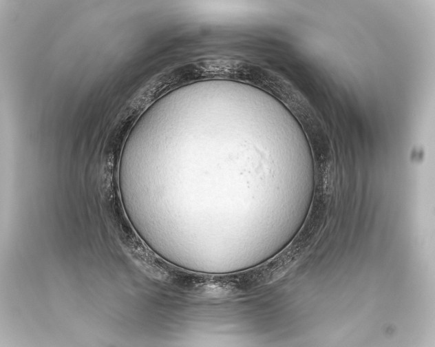 X0000093560737200710291018