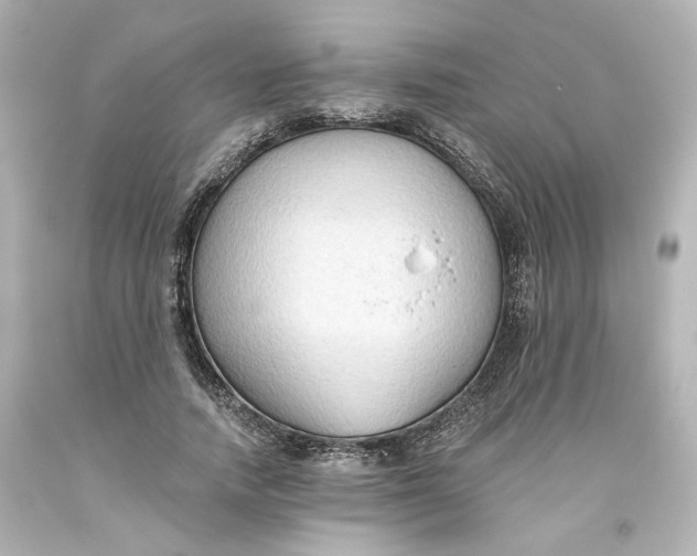 X0000093560738200710291018