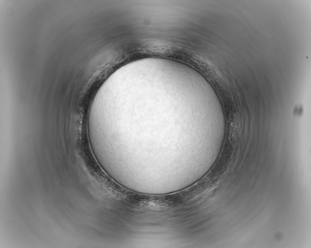 X0000093560739200710291018