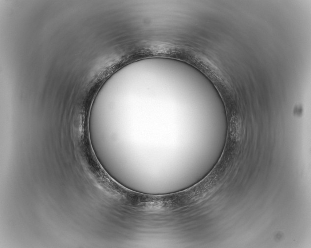 X0000093560740200710291018