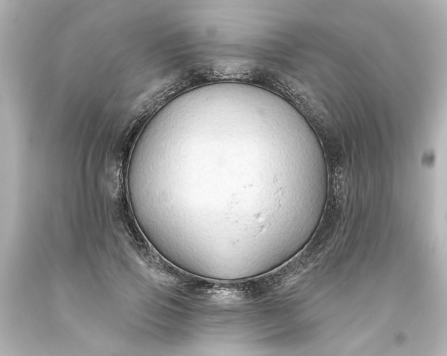 X0000093560741200710291018