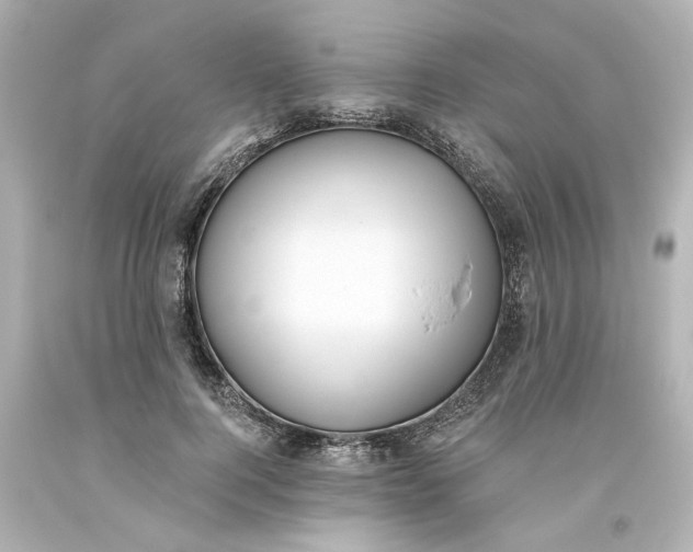 X0000093560744200710291018