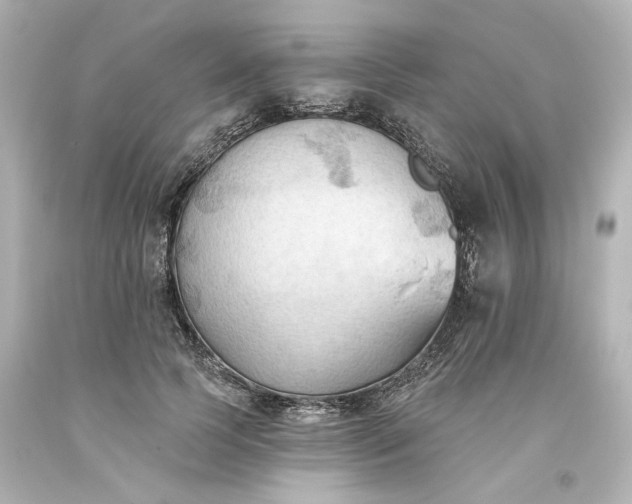 X0000093560745200710291018