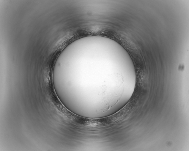 X0000093560746200710291018