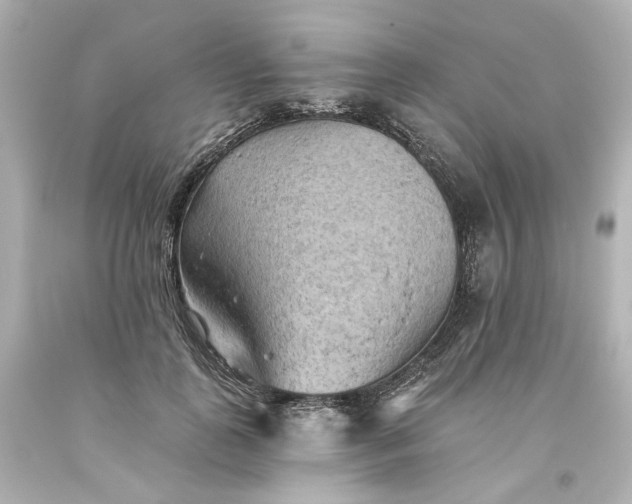 X0000093560747200710291018