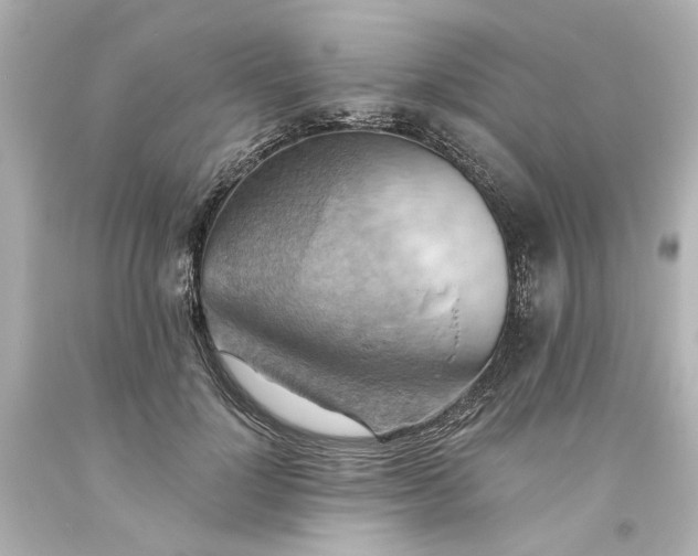 X0000093560748200710291019