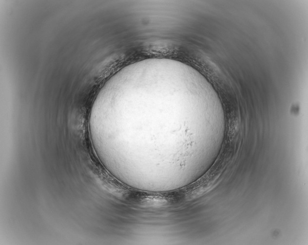 X0000093560749200710291019