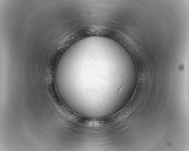 X0000093560751200710291019