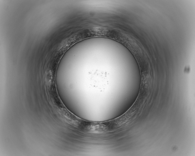 X0000093560752200710291019