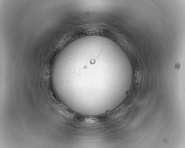 X0000093560753200710291019