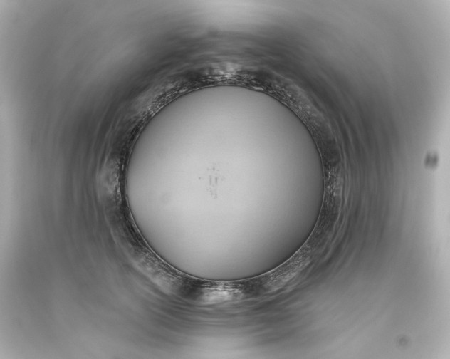 X0000093560754200710291019