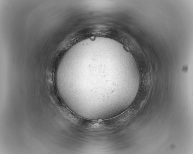 X0000093560755200710291019