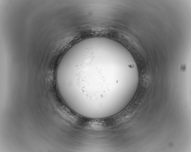 X0000093560756200710291019