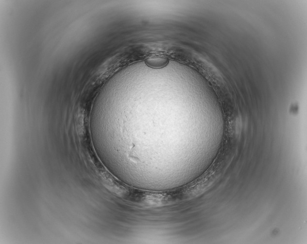 X0000093560757200710291019