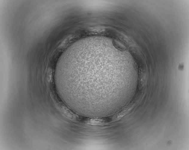 X0000093560758200710291019