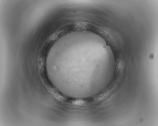 X0000093560759200710291019