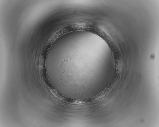 X0000093560760200710291019