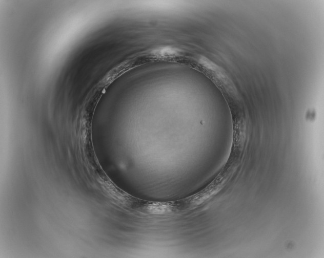 X0000093560762200710291019