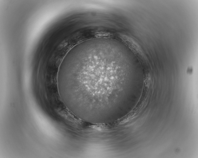 X0000093560763200710291019